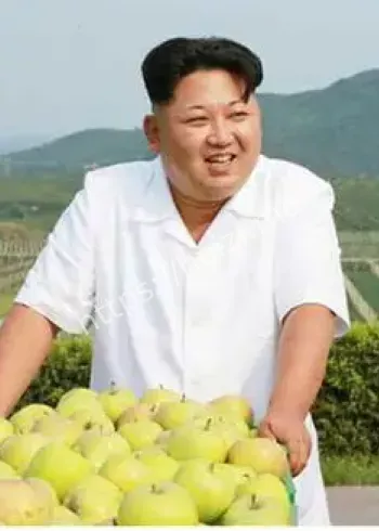 金正恩访华